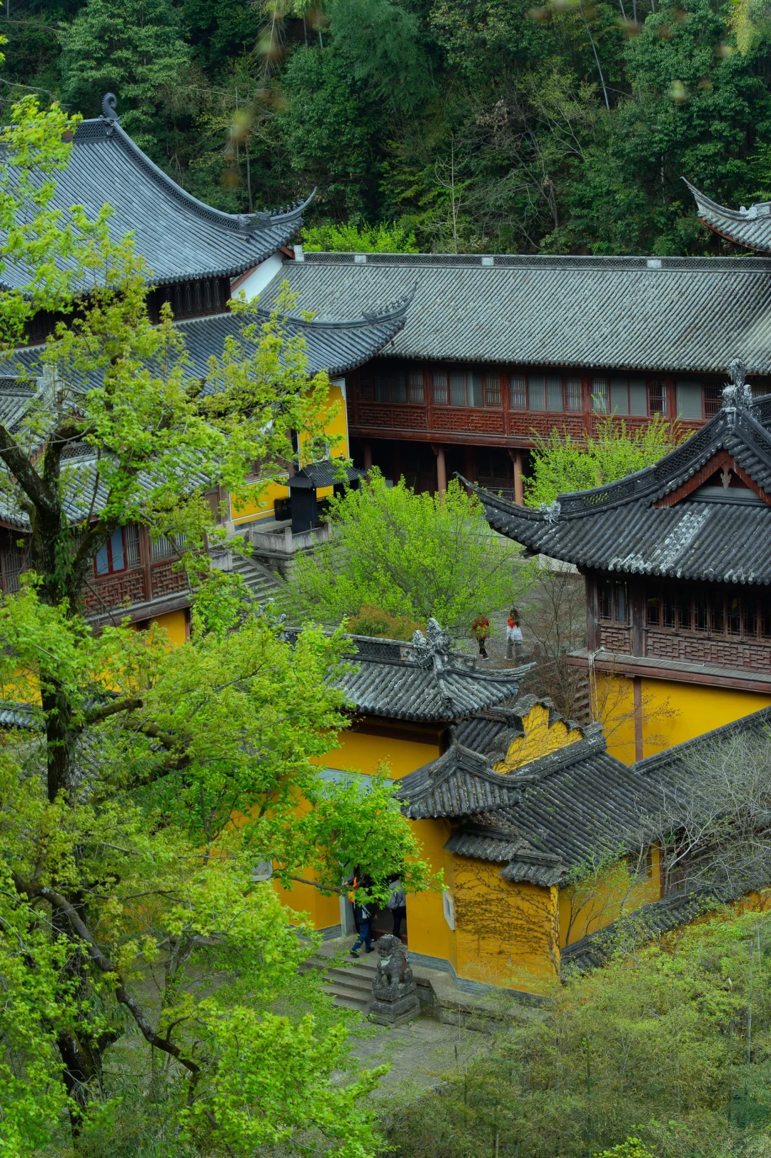 真没瞎吹❗去完台州后对日本完全祛魅了❗
