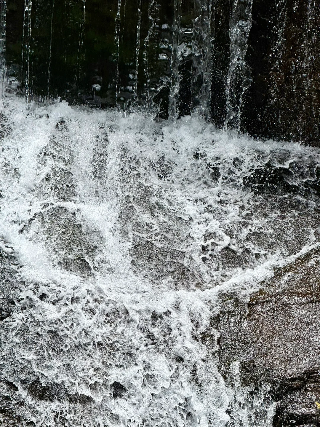 Live实况‼️小红书跟风最成功的一次！！