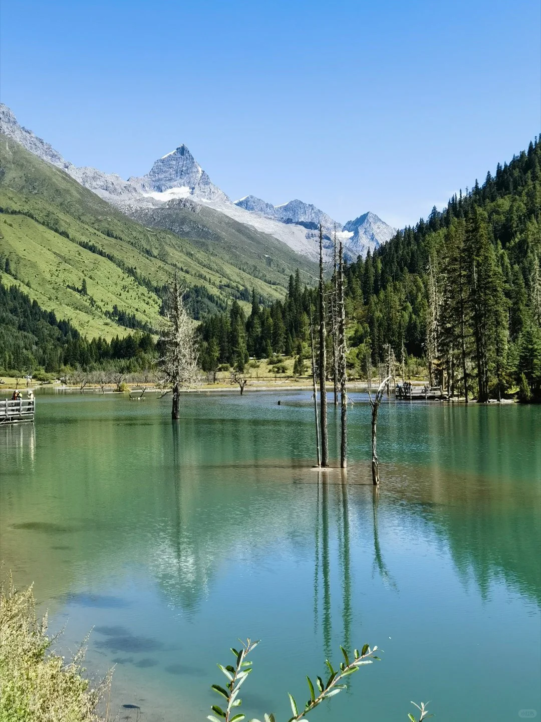 川西的夏天,是宫崎骏的童话世界🎨
