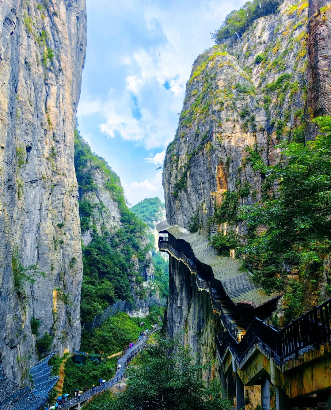 探秘“地球最美伤痕”——恩施大峡谷