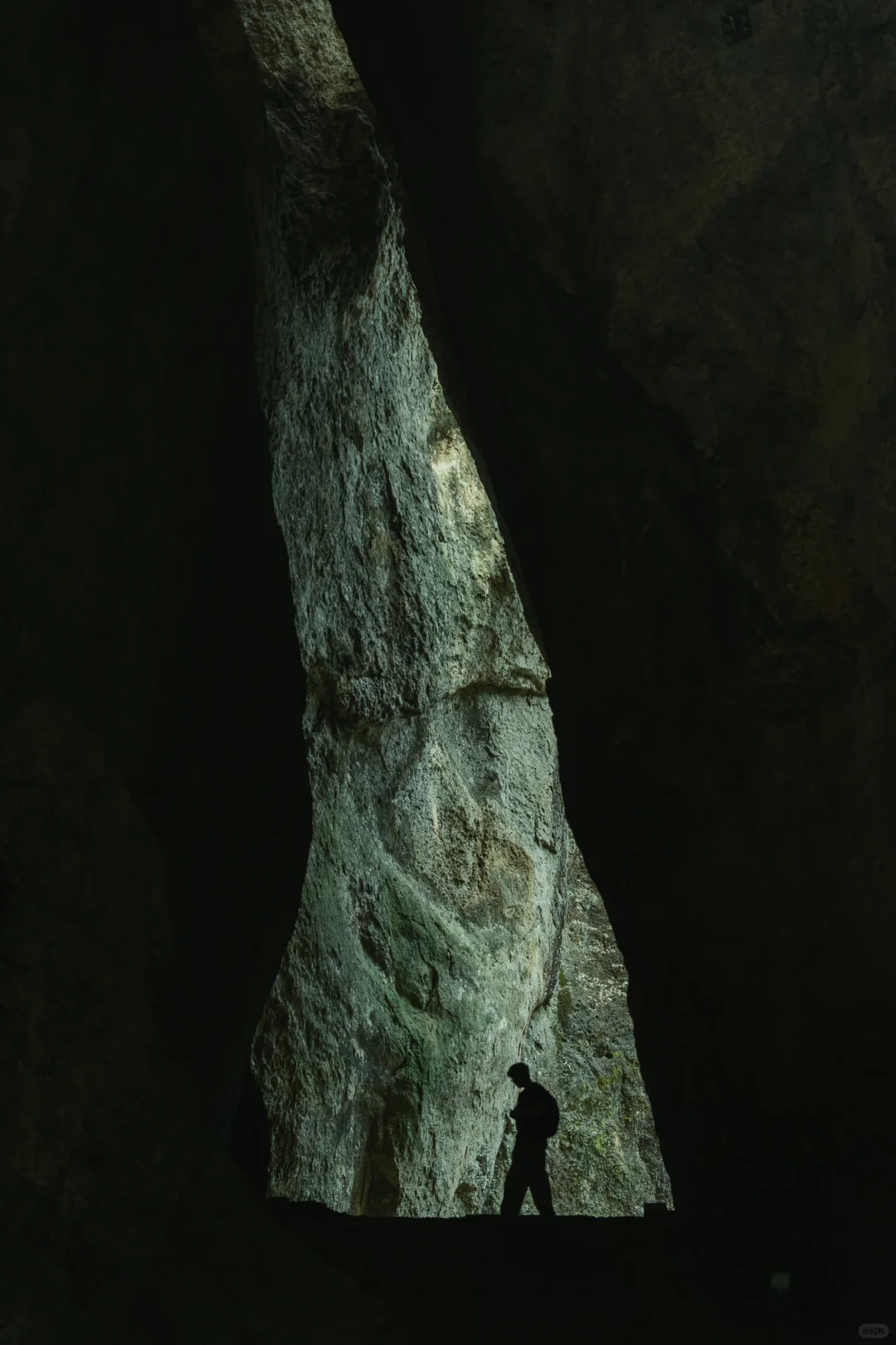 真没瞎吹❗去完台州后对日本完全祛魅了❗