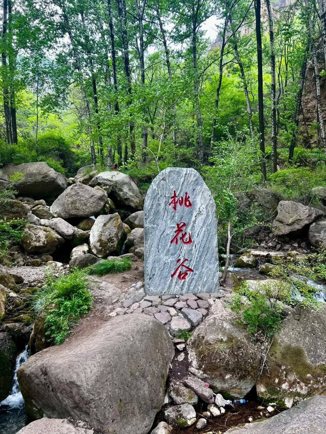 大同出发桃花山