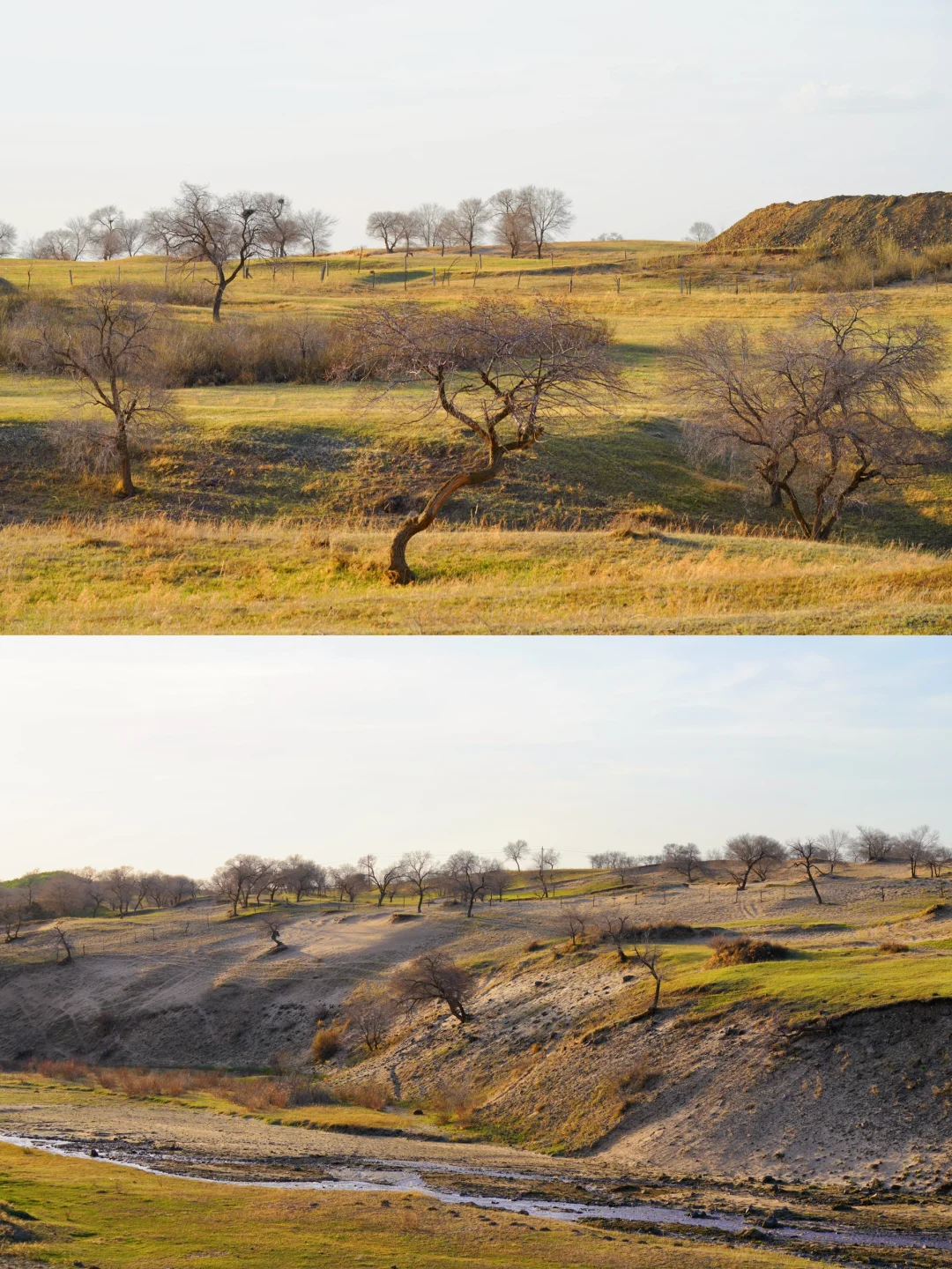 五一可以去塞罕坝乌兰布统吗？说点实在的
