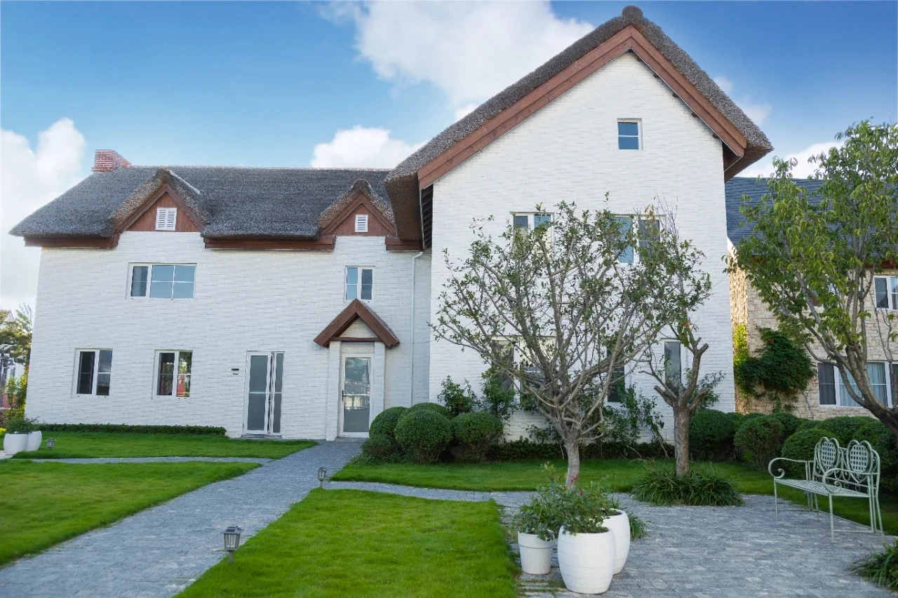 这里不是荷兰！是临沂！！！！