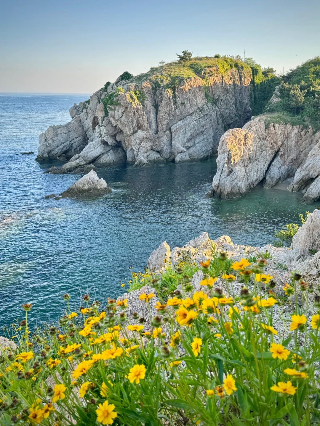 以为烟台已经很美了，直到我去了大连……