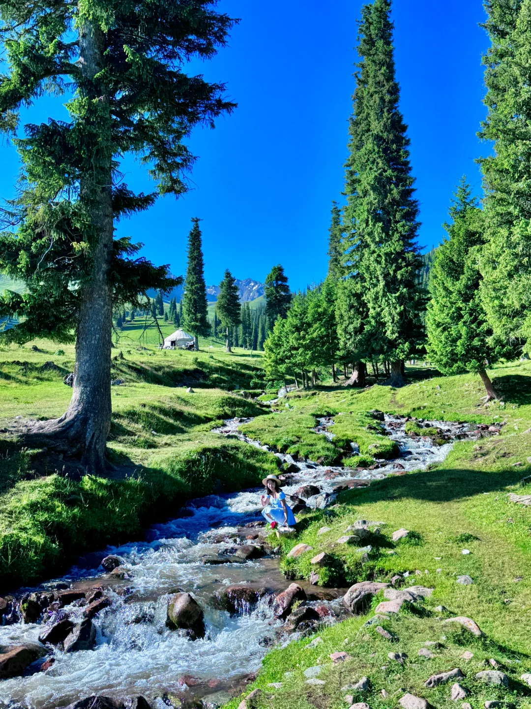 在新疆拍到了我的人生live图～🌳🌳