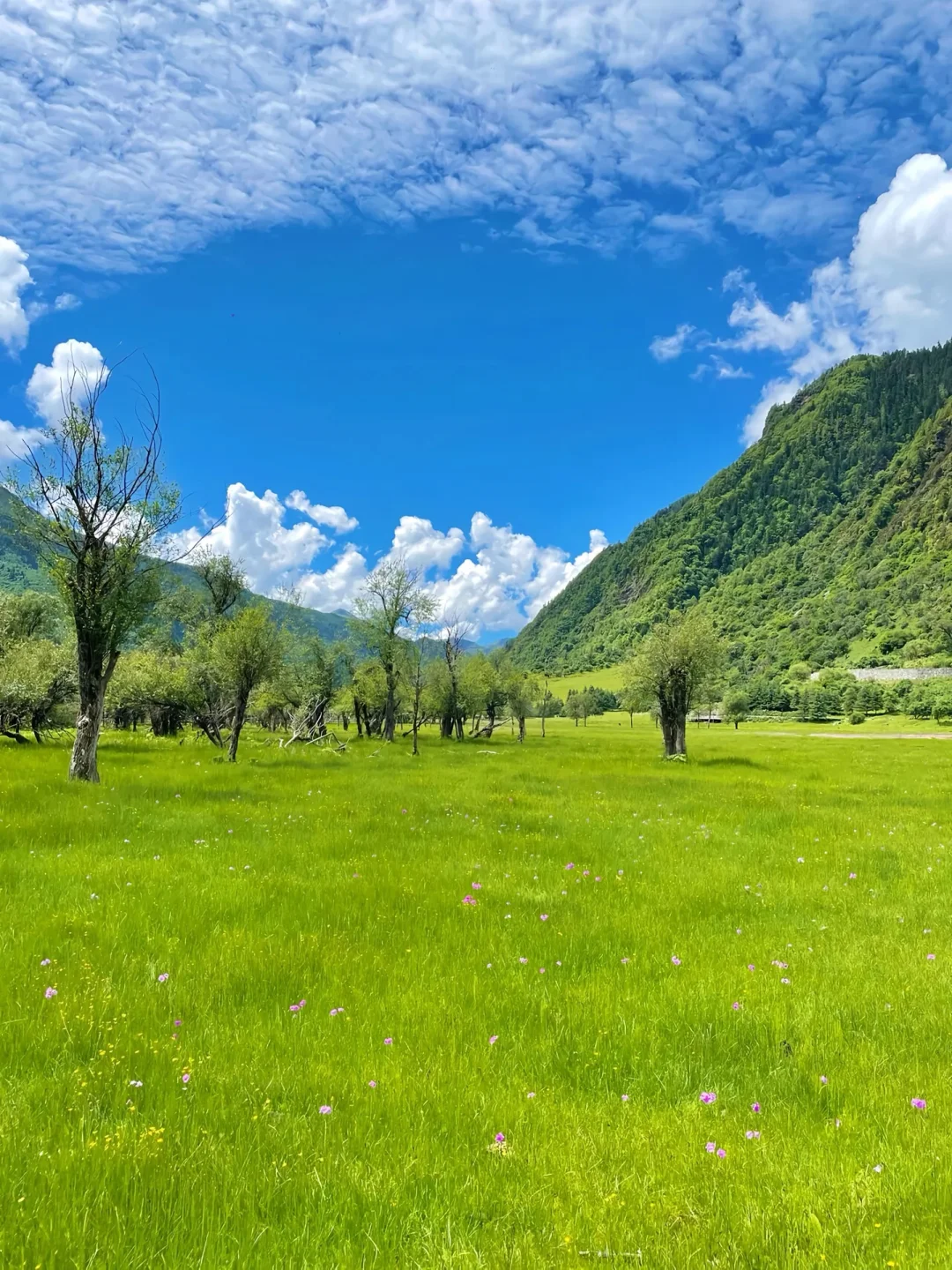 接下来的四姑娘山，是川西封神级别的存在..