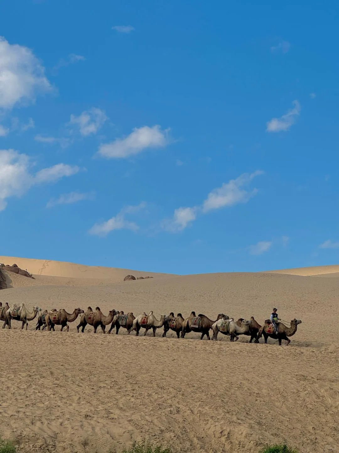接下来内蒙古这❼个地方真的真的很绝‼️