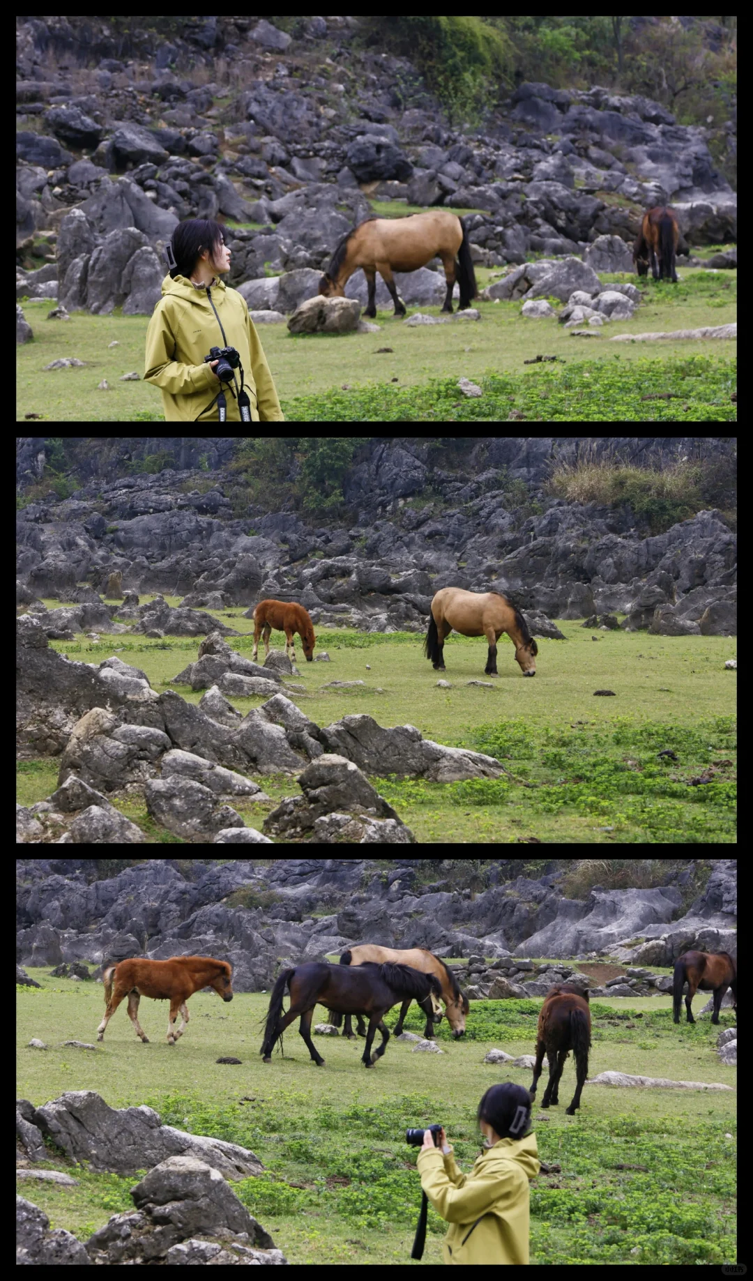 不会后悔的两天玩转安顺攻略