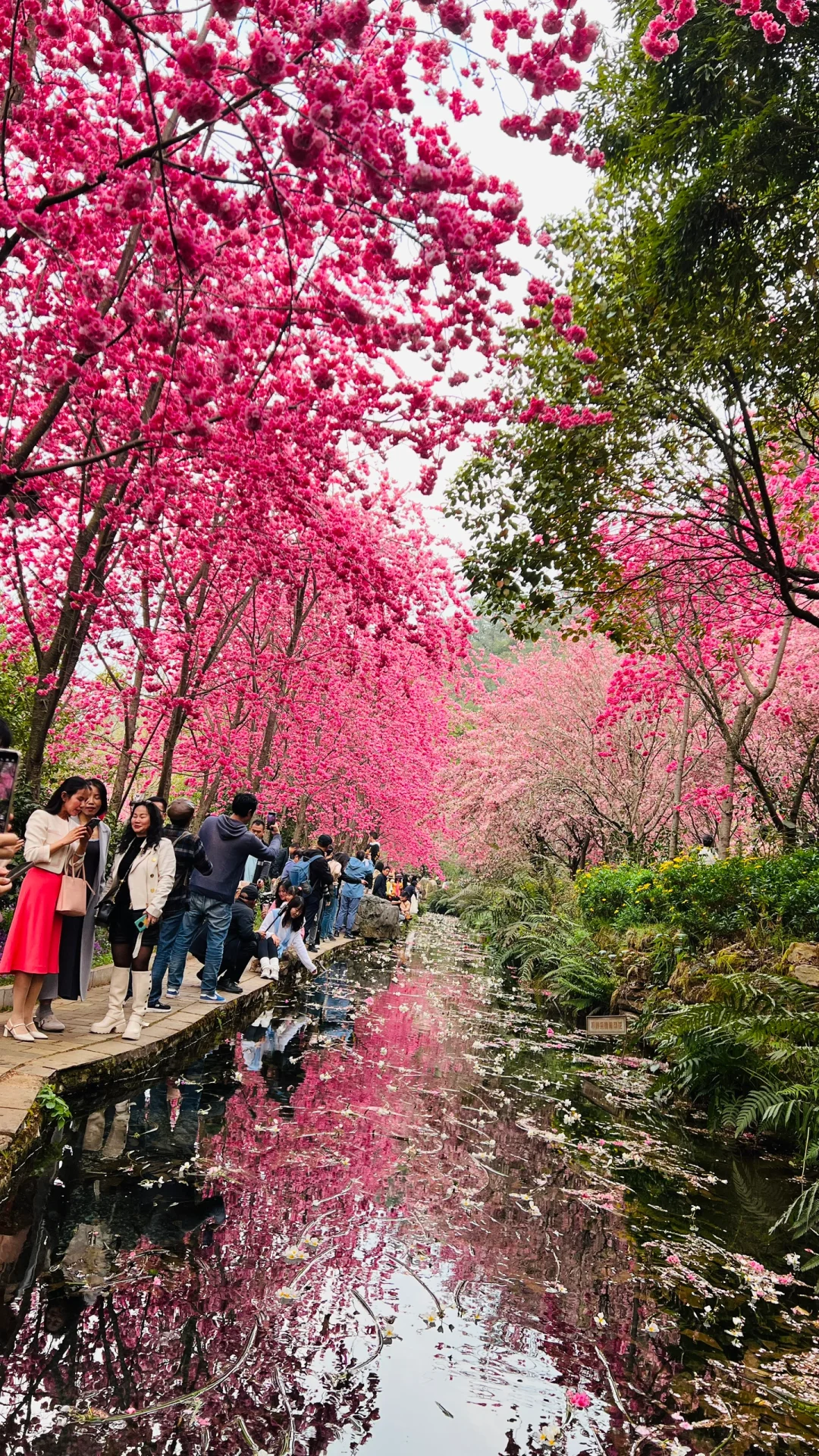 不敢想象，怎么会有这么美的地方🤩❗️❗️