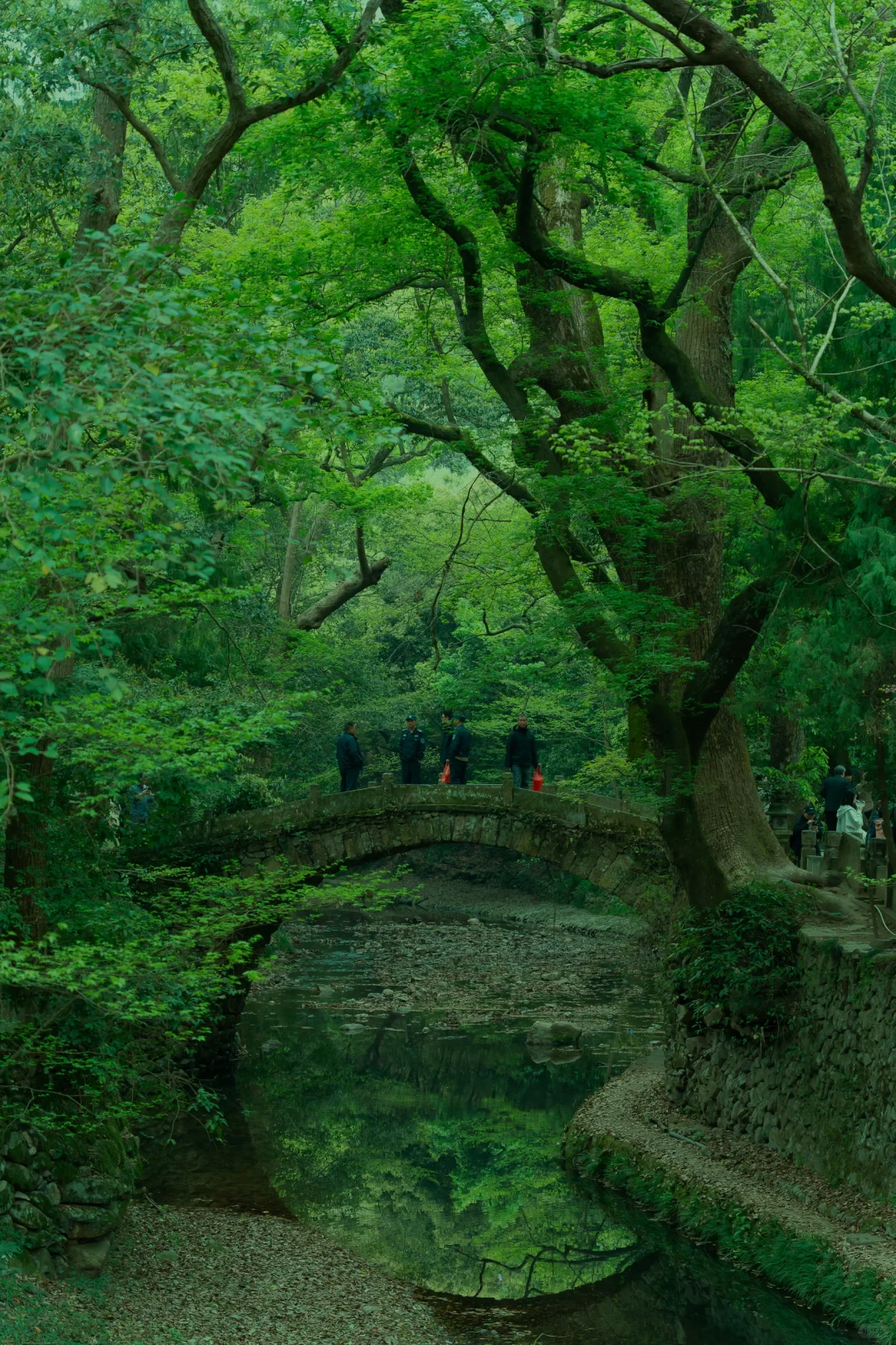真没瞎吹❗去完台州后对日本完全祛魅了❗