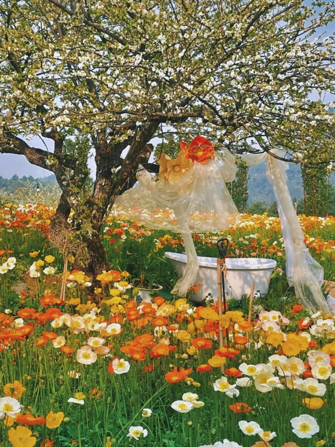 04女大📍独闯昆明 | 三天不走回头路攻略