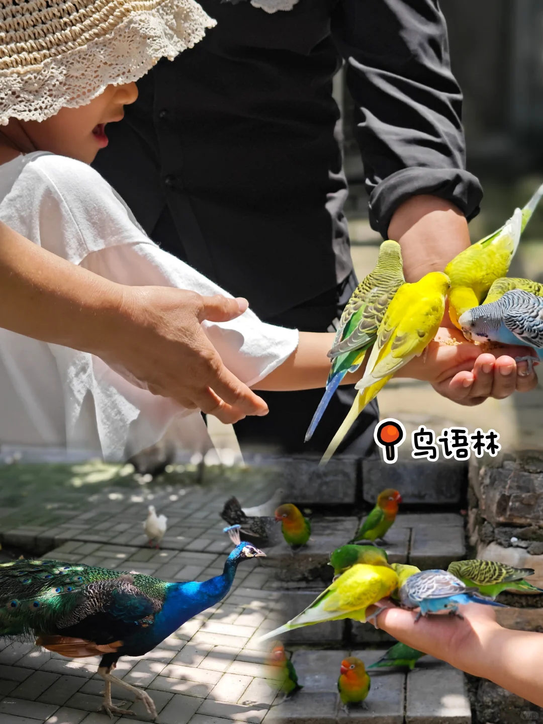 博山开元溶洞|淄博仲夏出游好去处