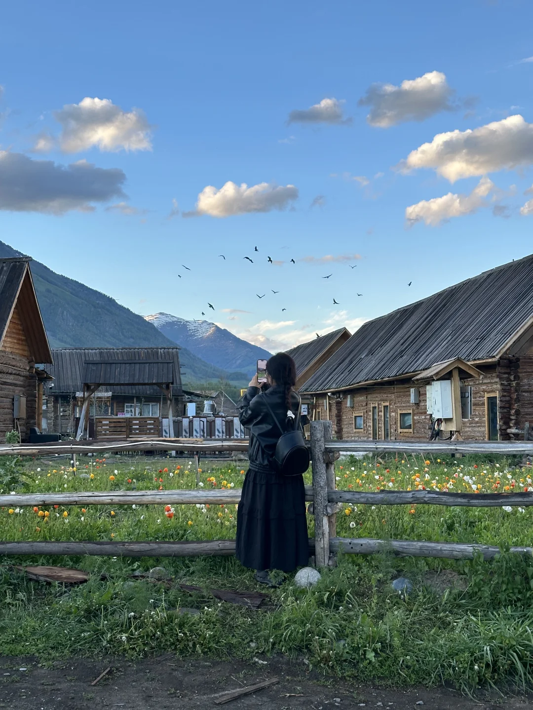 五月底的阿勒泰live