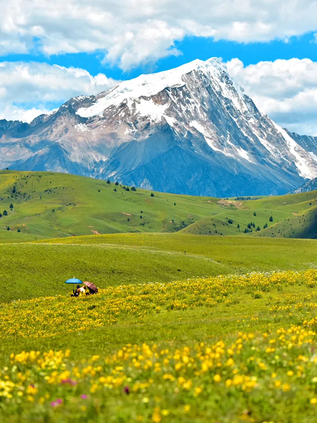 川西的夏天,是宫崎骏的童话世界🎨