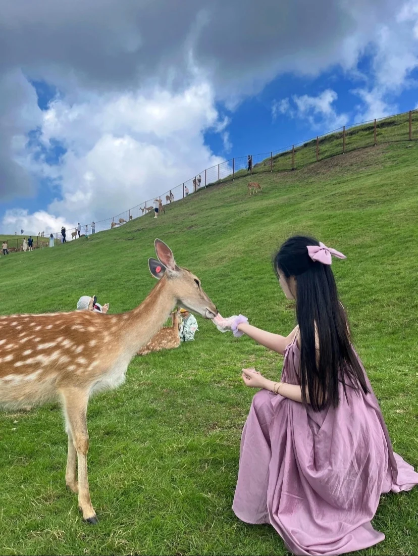 不是长沙去不起，而是郴州更有性价比✨