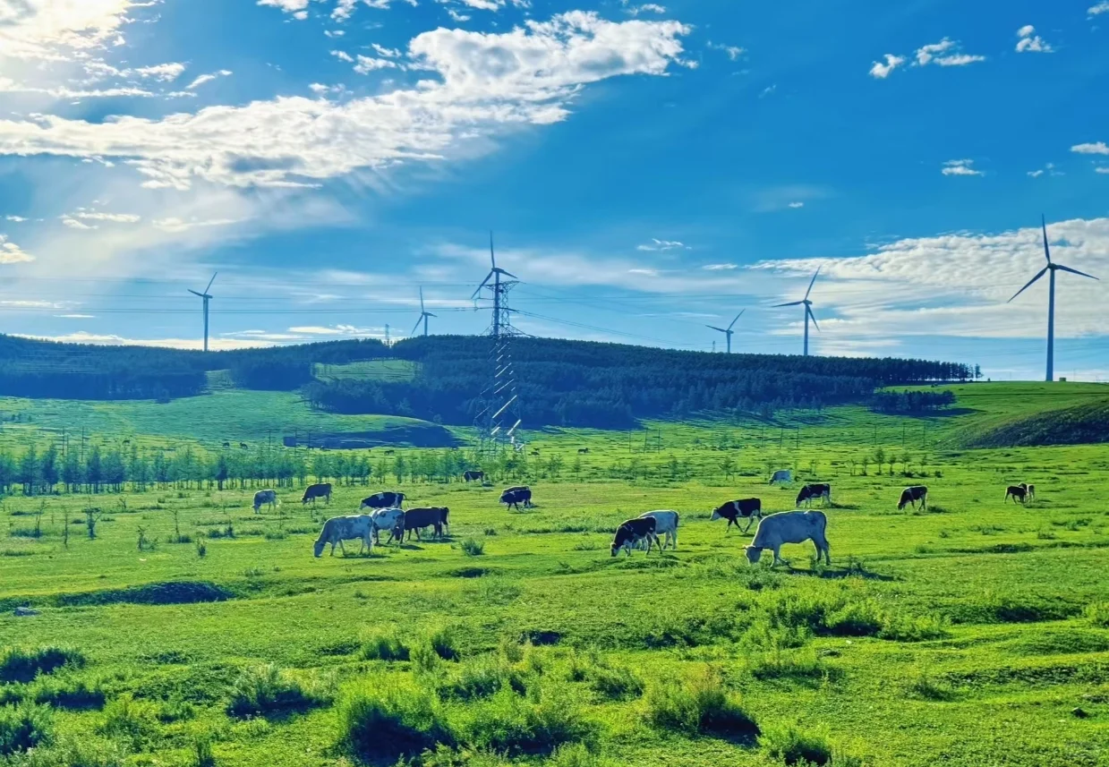 五一最全乌兰察布攻略❗❗❗