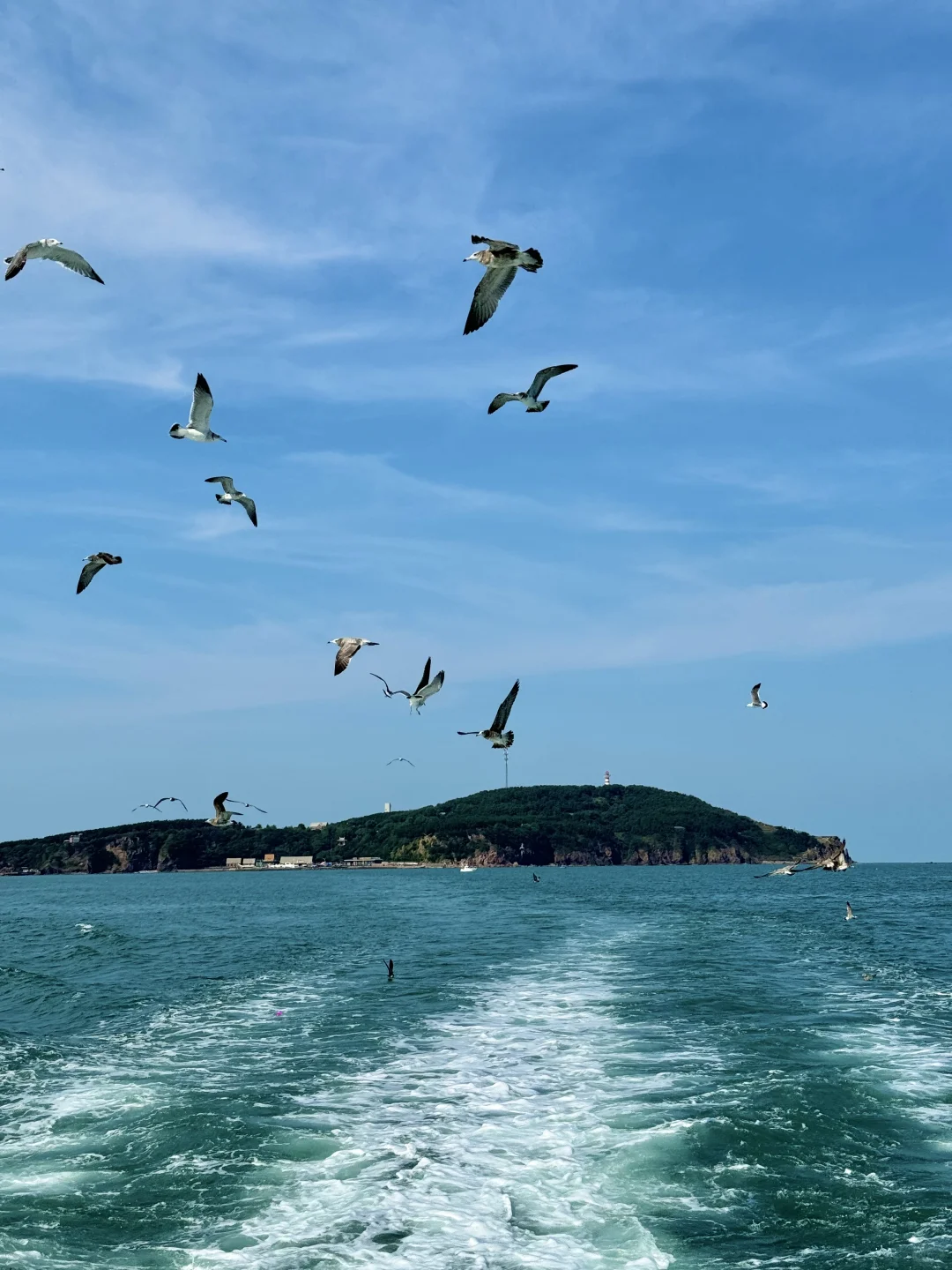 去威海不要只知道火炬八街了!!