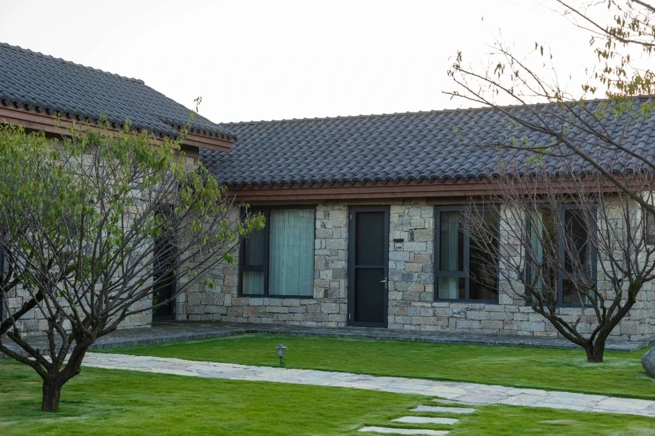 这里不是荷兰！是临沂！！！！