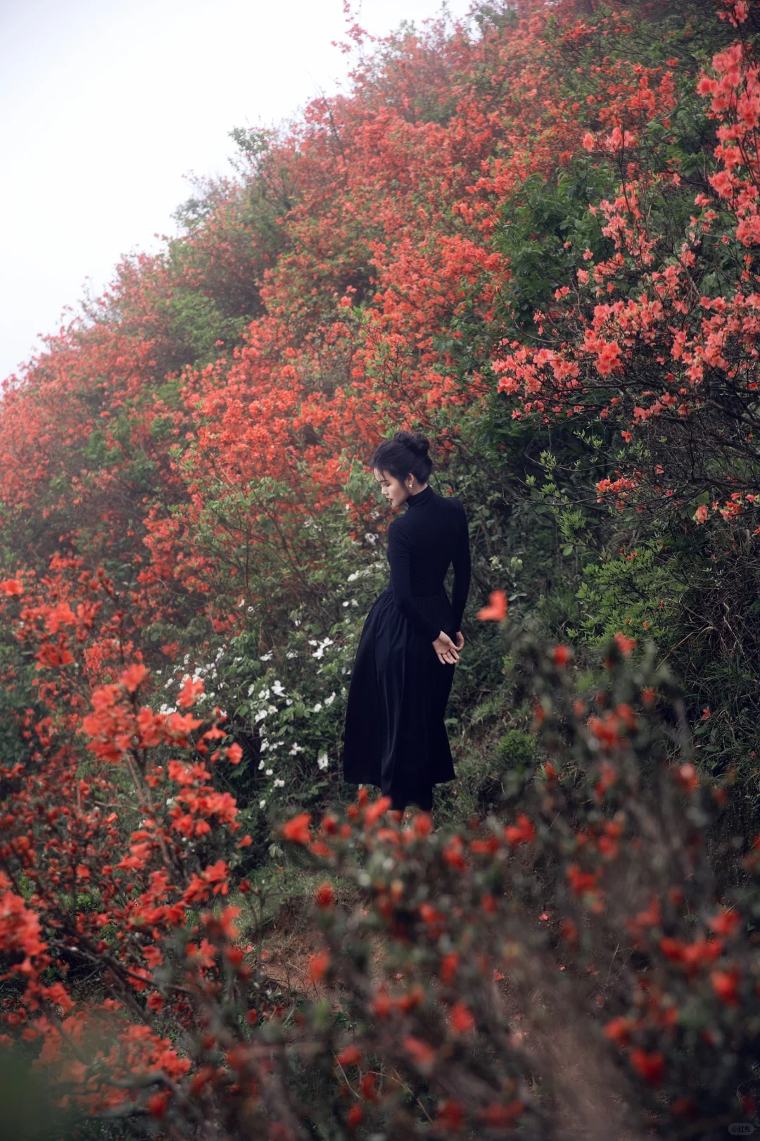 五一反向旅游,松弛感拉满的映山红秘境