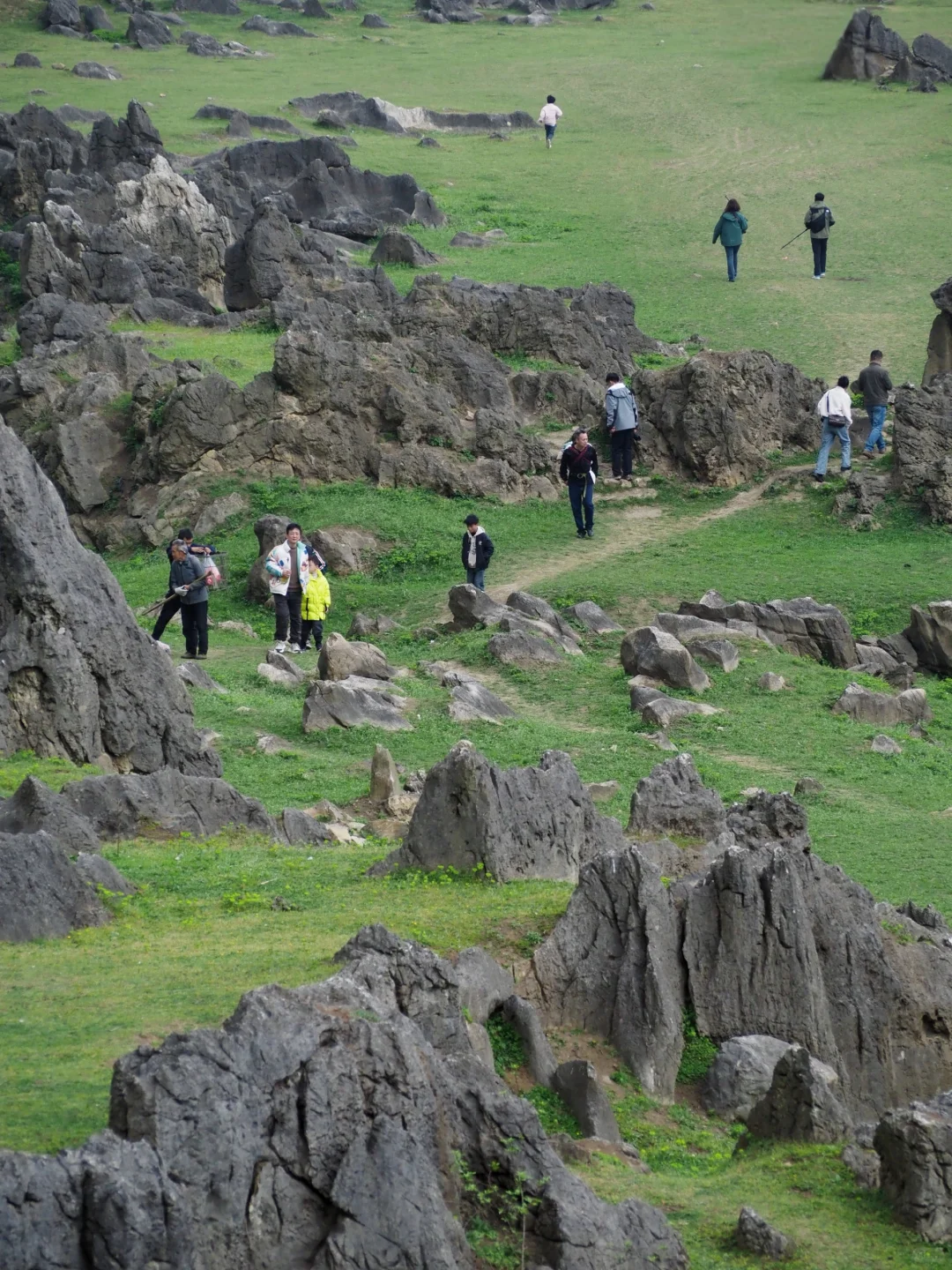 不会后悔的两天玩转安顺攻略