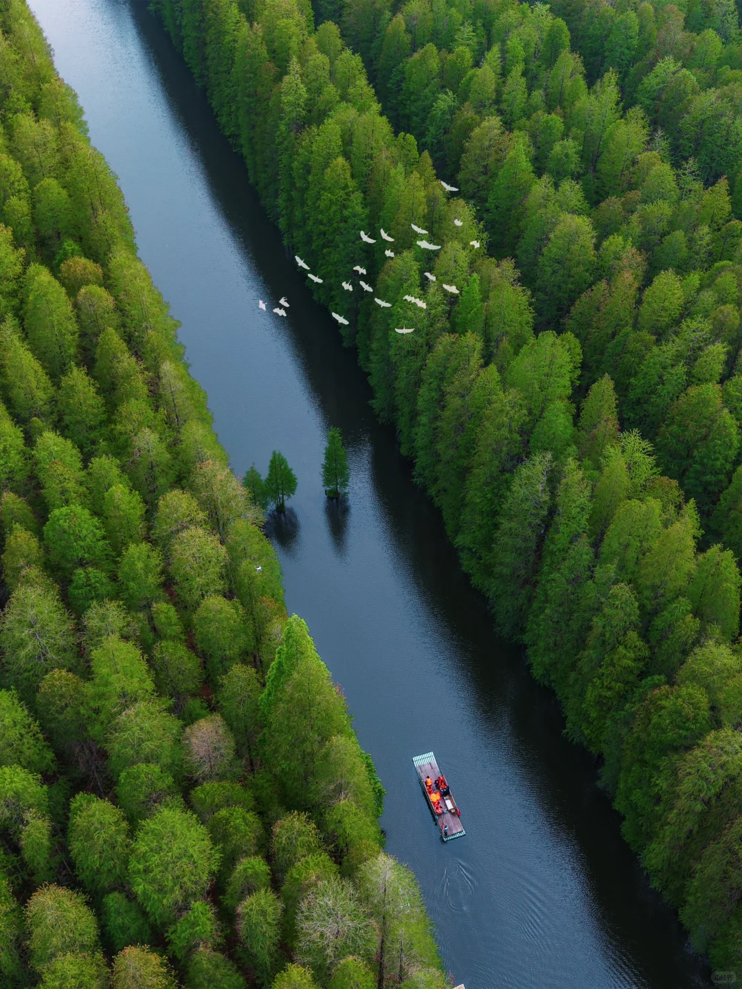 反向旅游‼️这才是淮安被严重低估的绿野仙踪