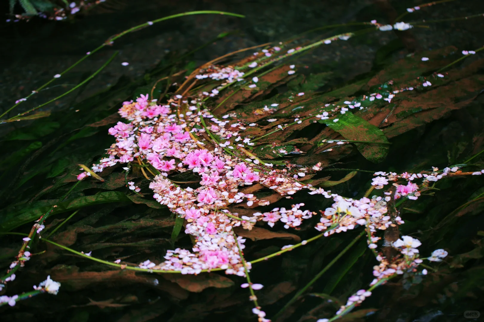 不敢想象，怎么会有这么美的地方🤩❗️❗️