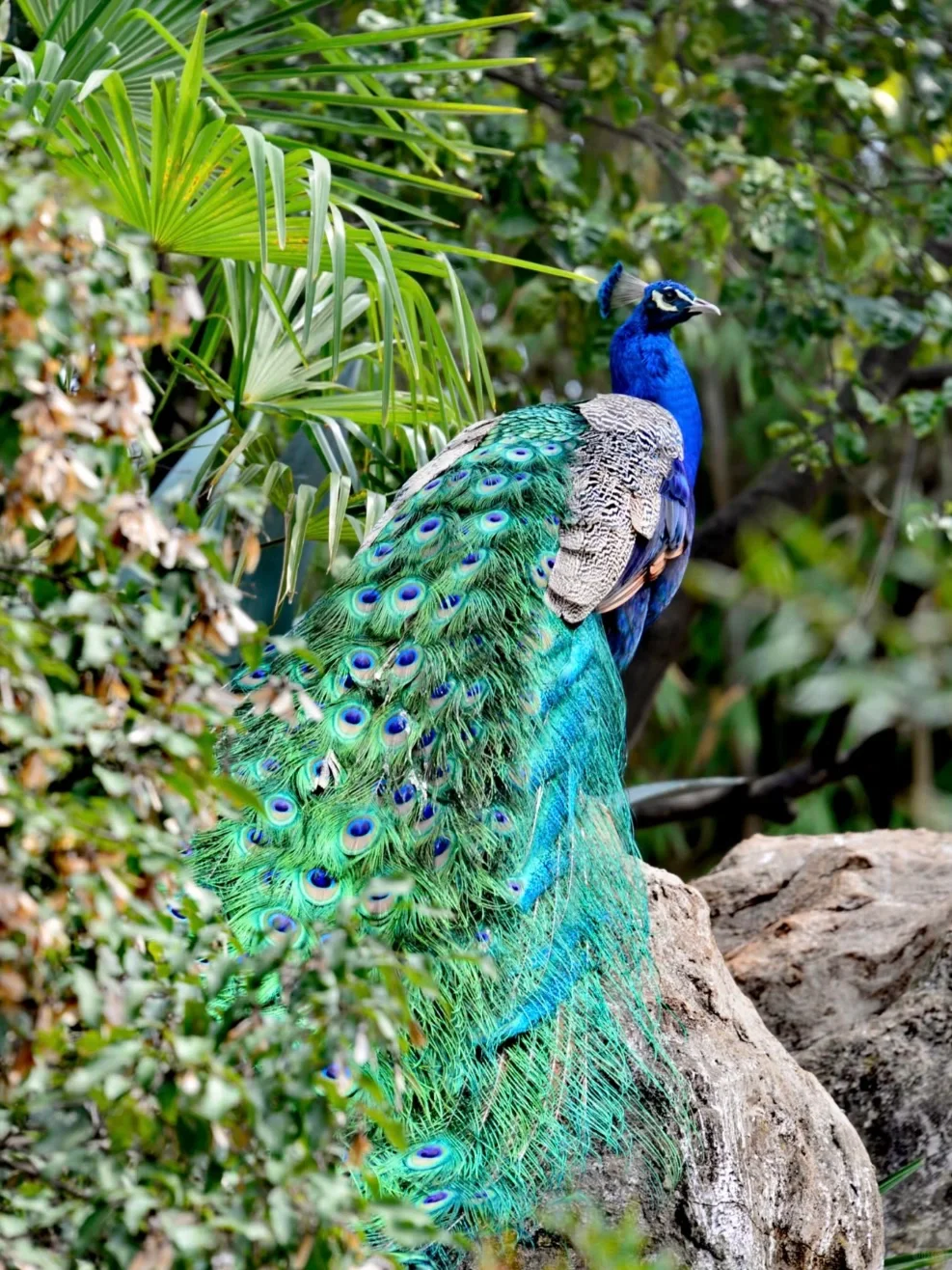 04女大📍独闯昆明 | 三天不走回头路攻略