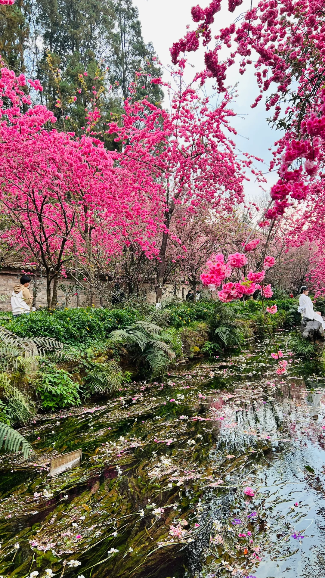 不敢想象，怎么会有这么美的地方🤩❗️❗️