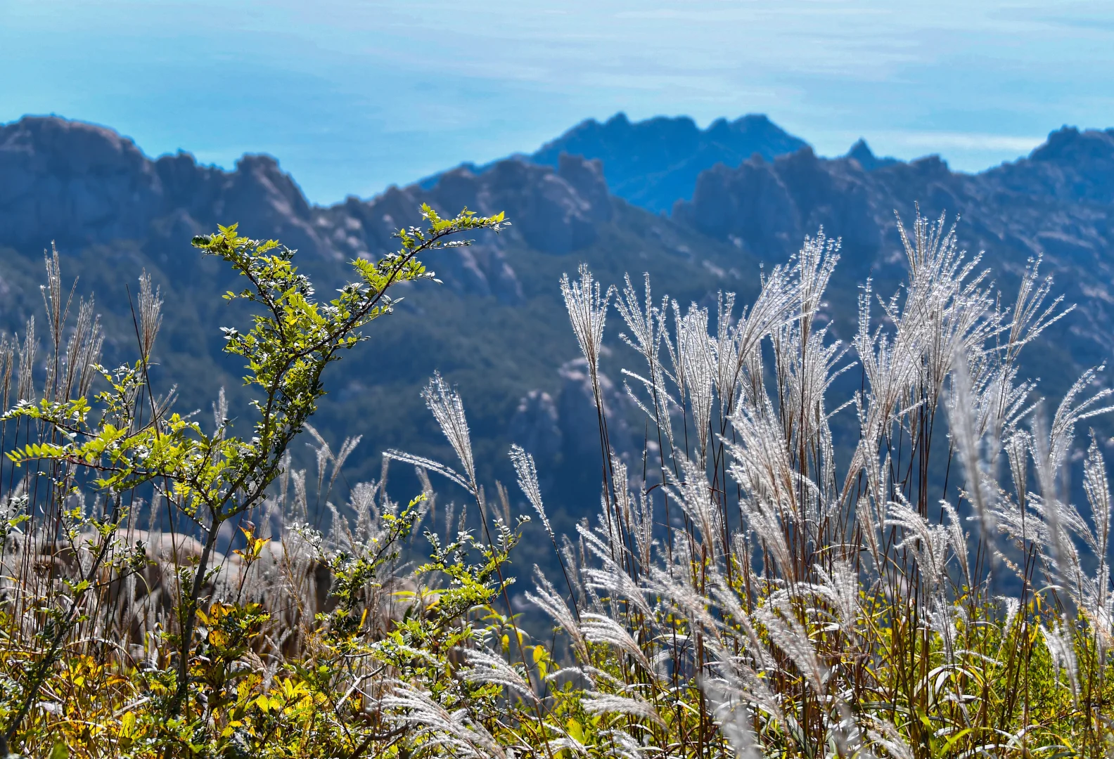 摄影博主的巨峰追光日记 | 12 小时捕捉光影