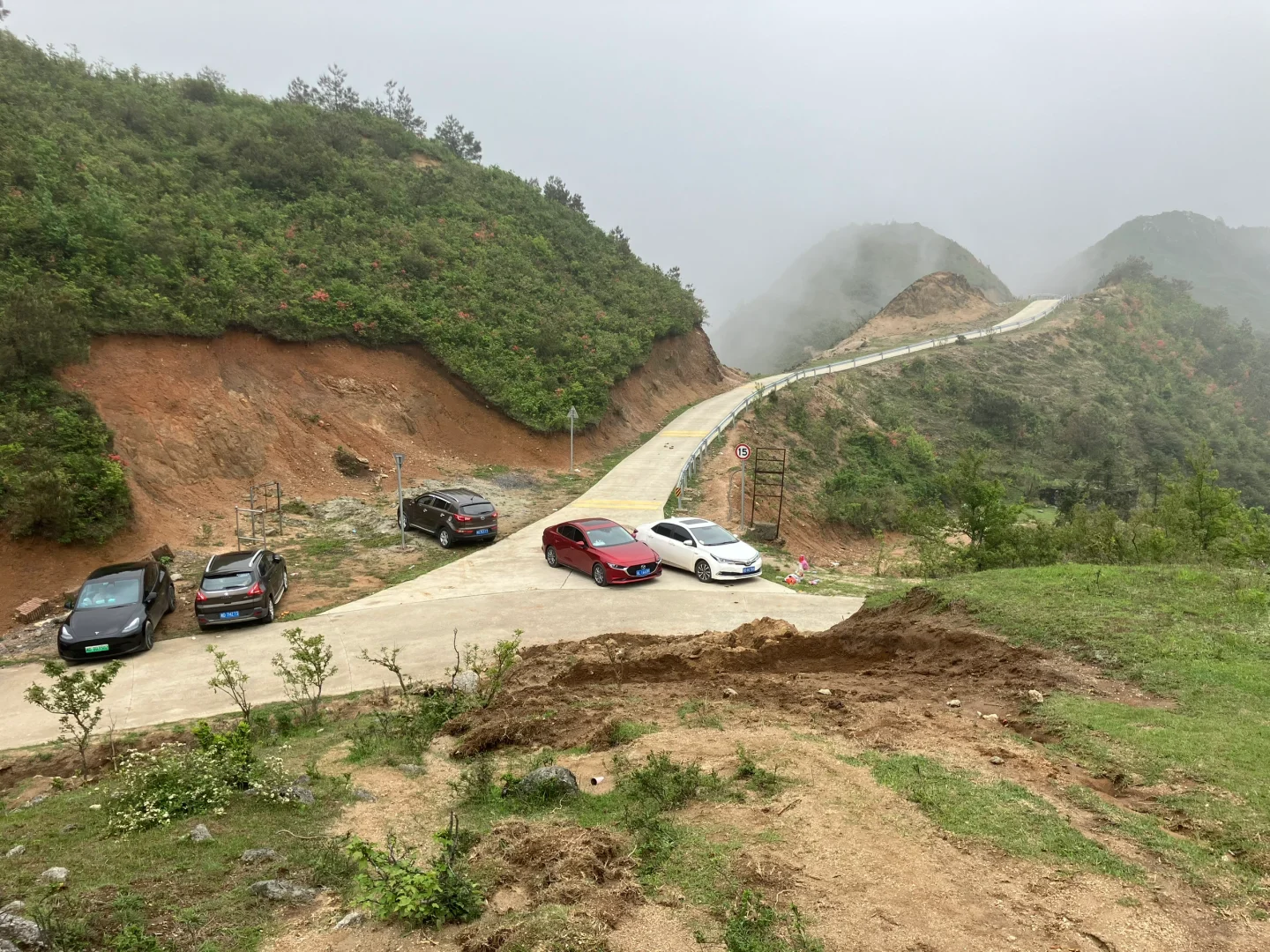 五一反向旅游,松弛感拉满的映山红秘境