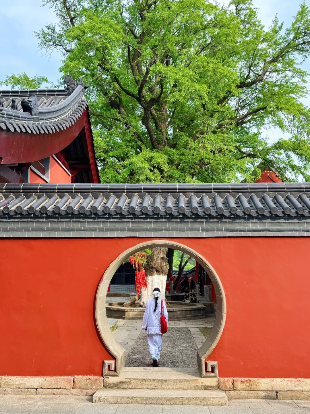 迄今为止,我蕞喜欢的宝藏旅行地出现了…live