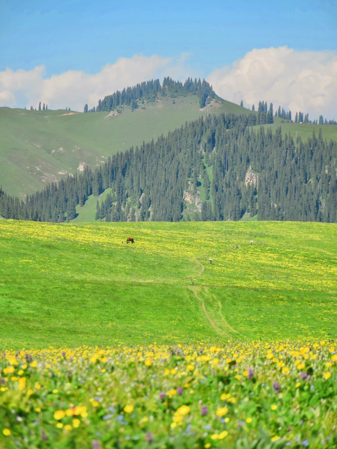 接下来几个月的新疆，每一张都是童话世界！！！