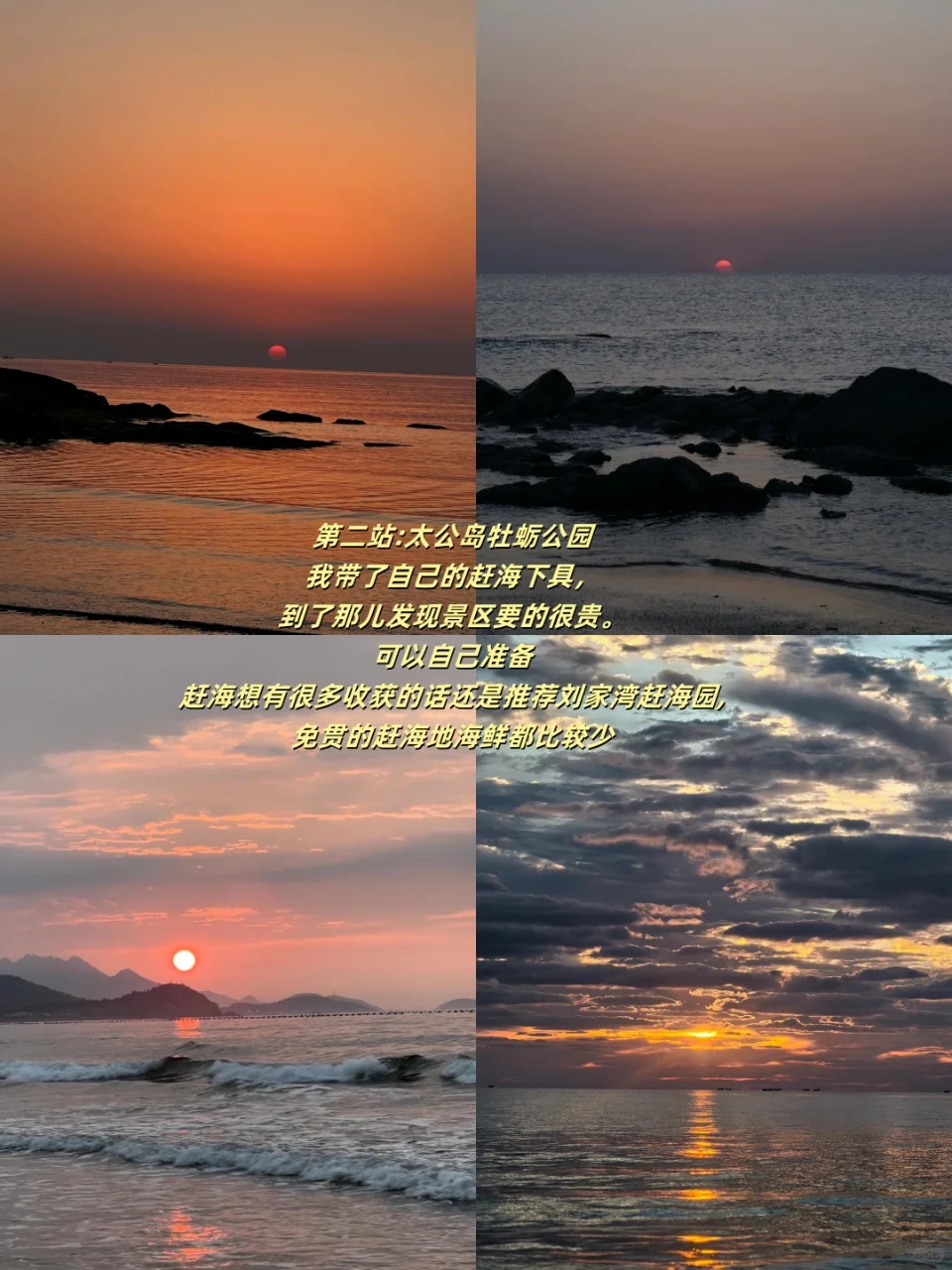 💥日照一日速通攻略！错过=白来‼