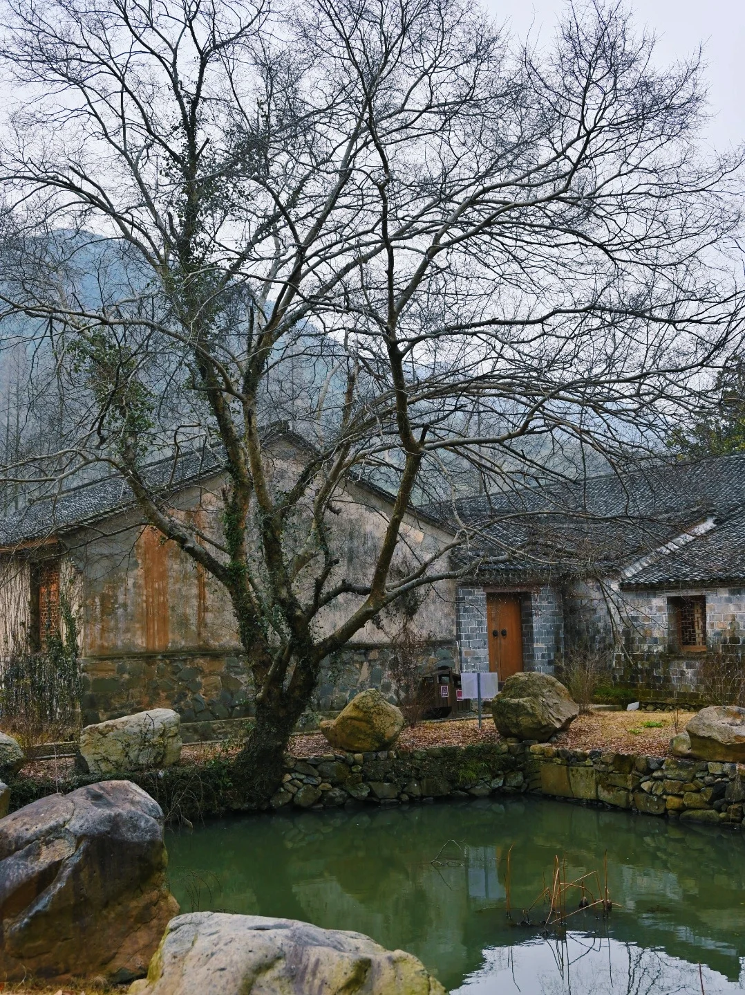 在宁波，今年为止我去过的最美古村落
