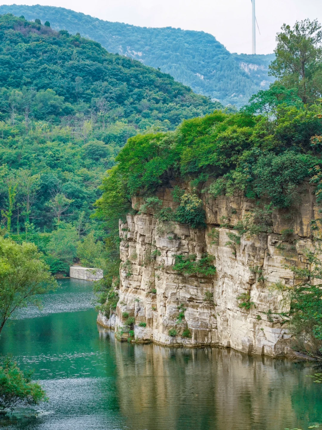 藏于山东深山的世外桃源🍃大自然空调真香