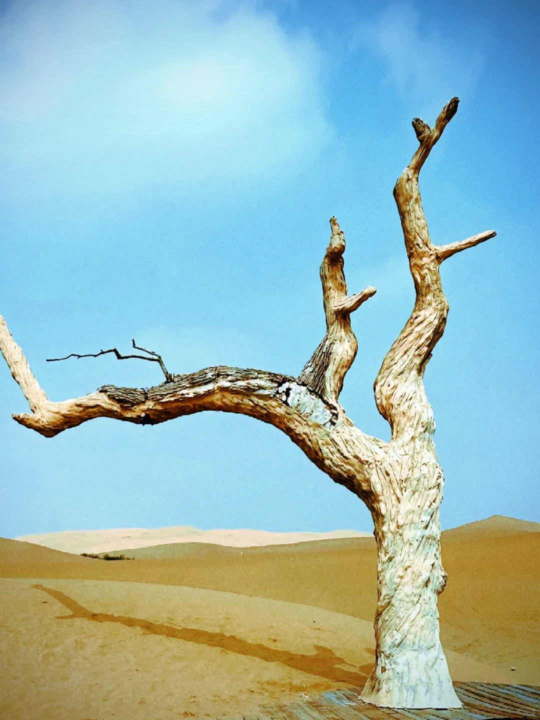 📍乌海｜04男大五一反向穷游宝藏小城🔥