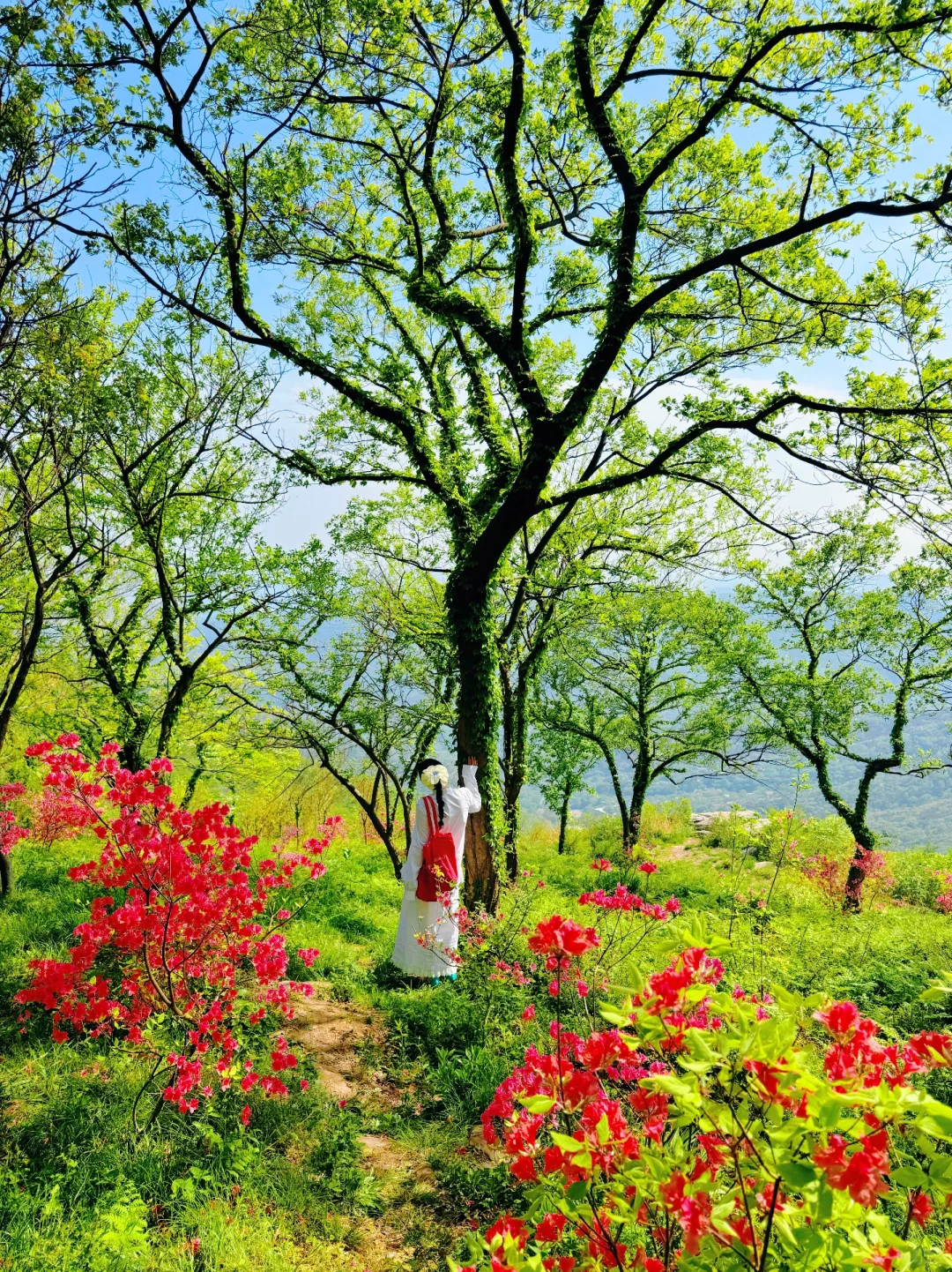 迄今为止,我蕞喜欢的宝藏旅行地出现了…live