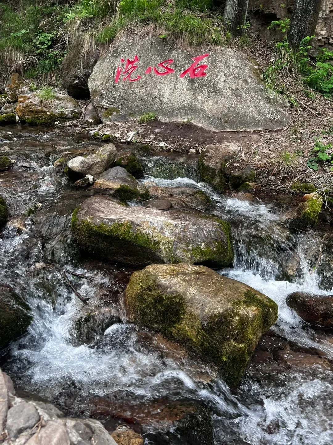 大同出发桃花山