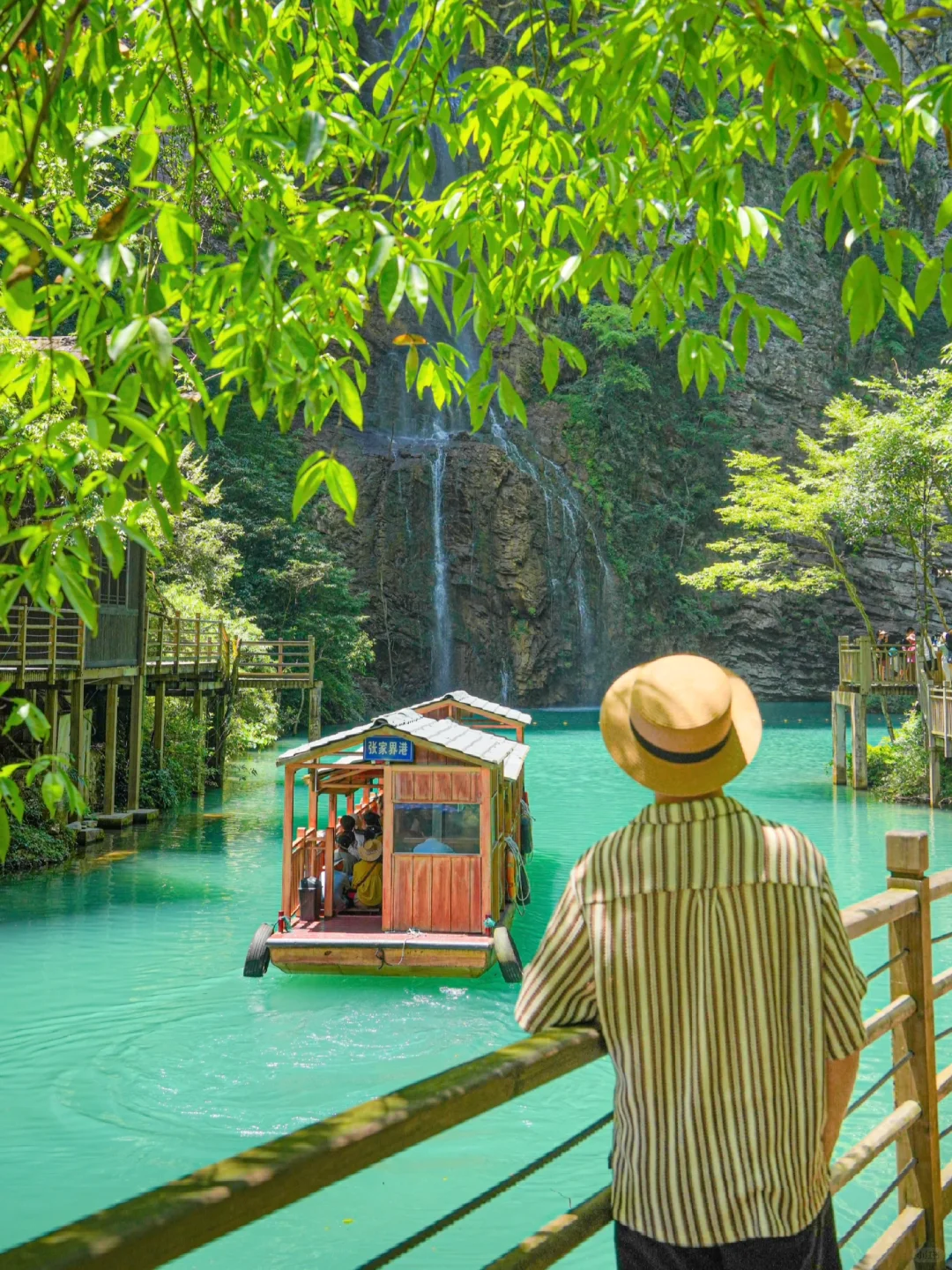 Live图！没去天门山是张家界最正确的选择！