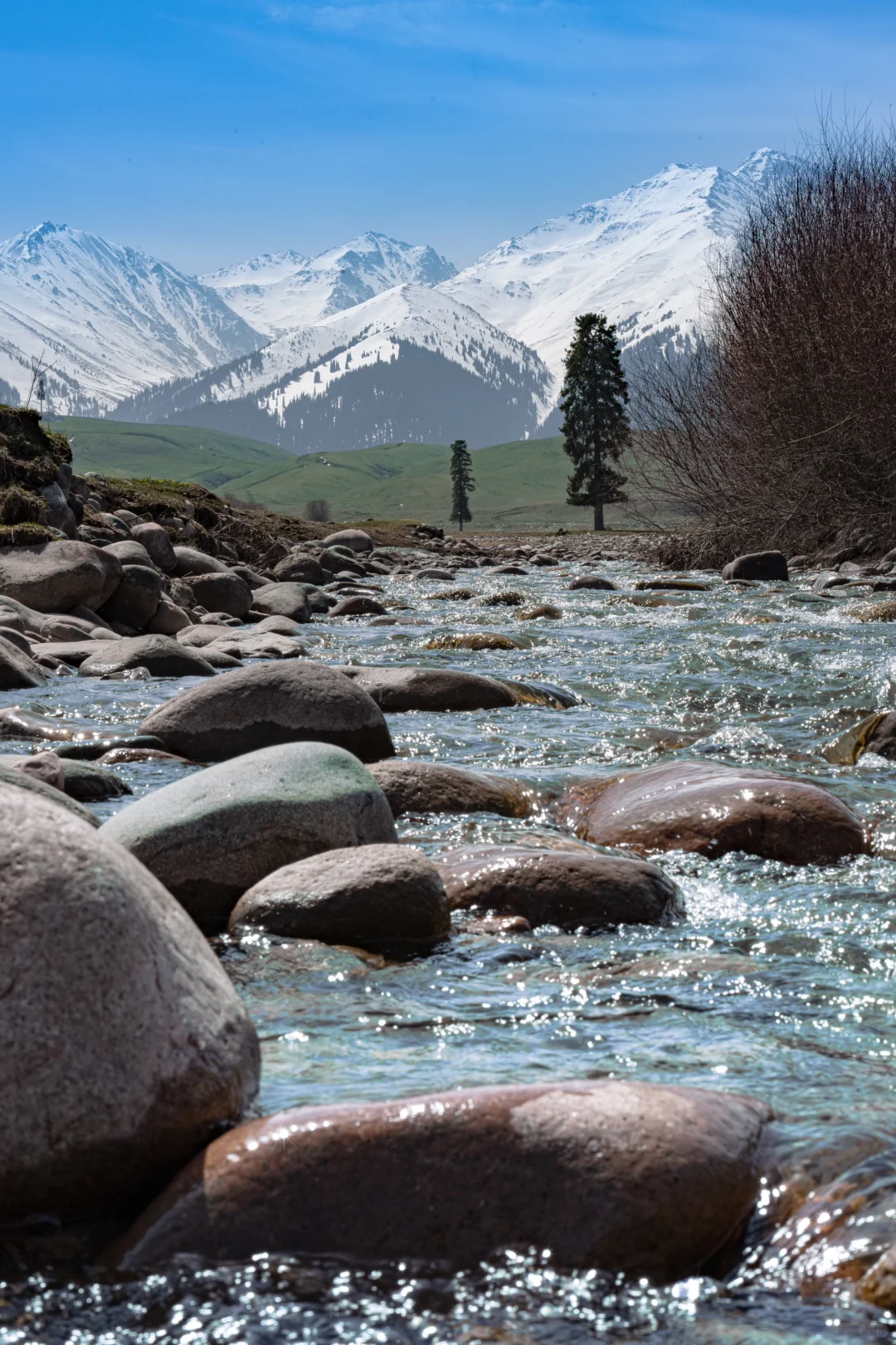 新疆之行第一次抱团完全没踩坑，新疆太美了