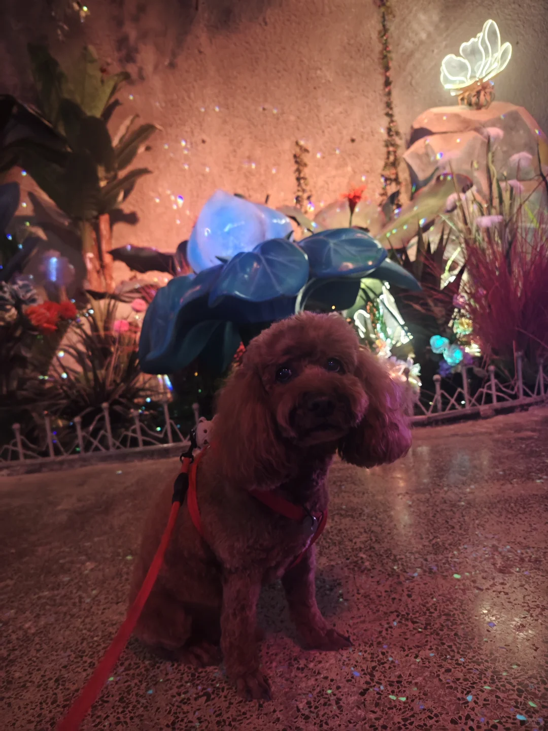 宠物友好——来淄博一定要来潭溪山