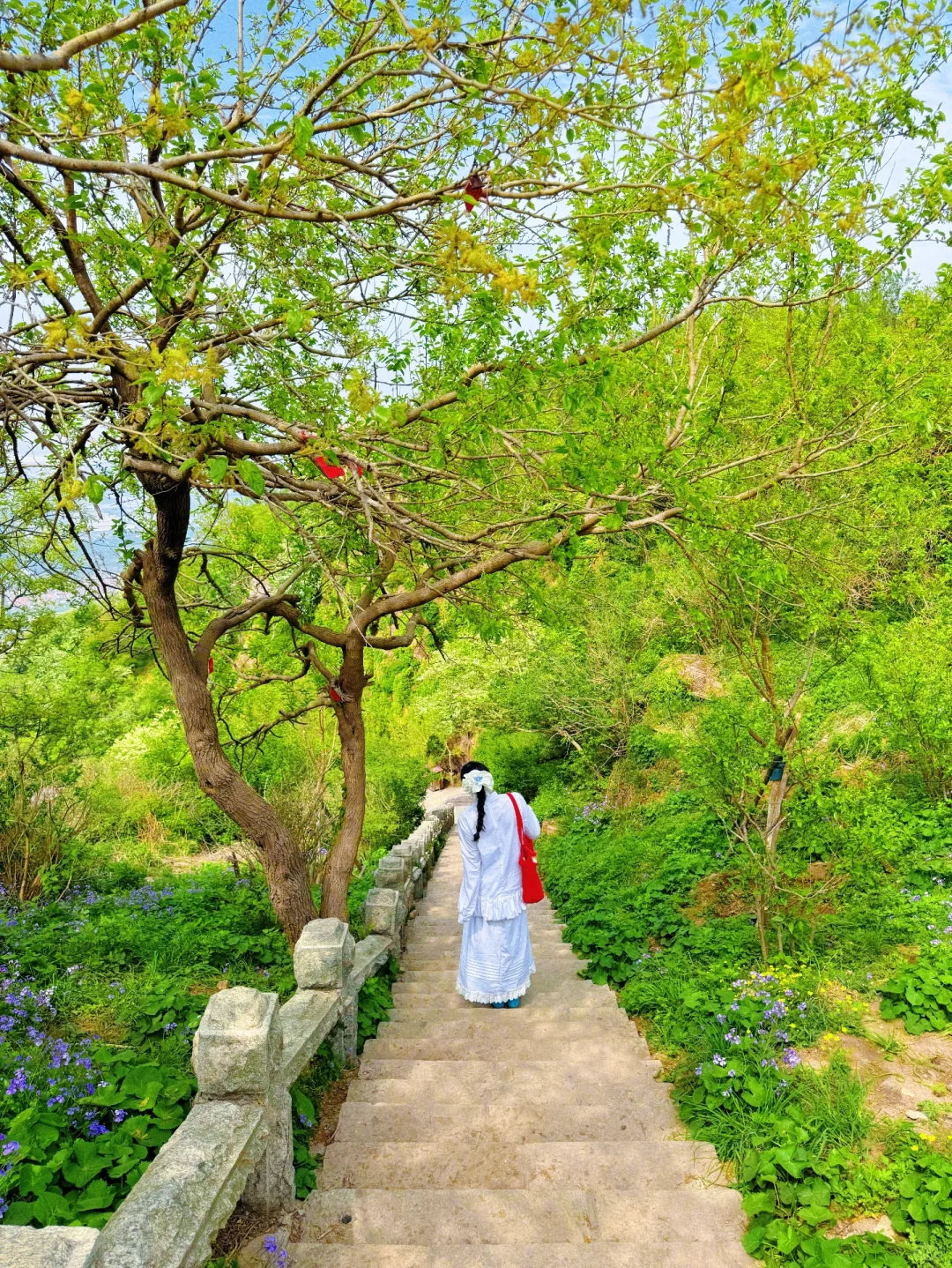 迄今为止,我蕞喜欢的宝藏旅行地出现了…live