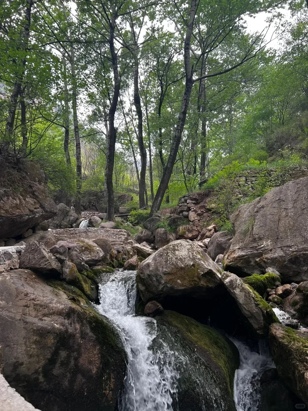 大同出发桃花山
