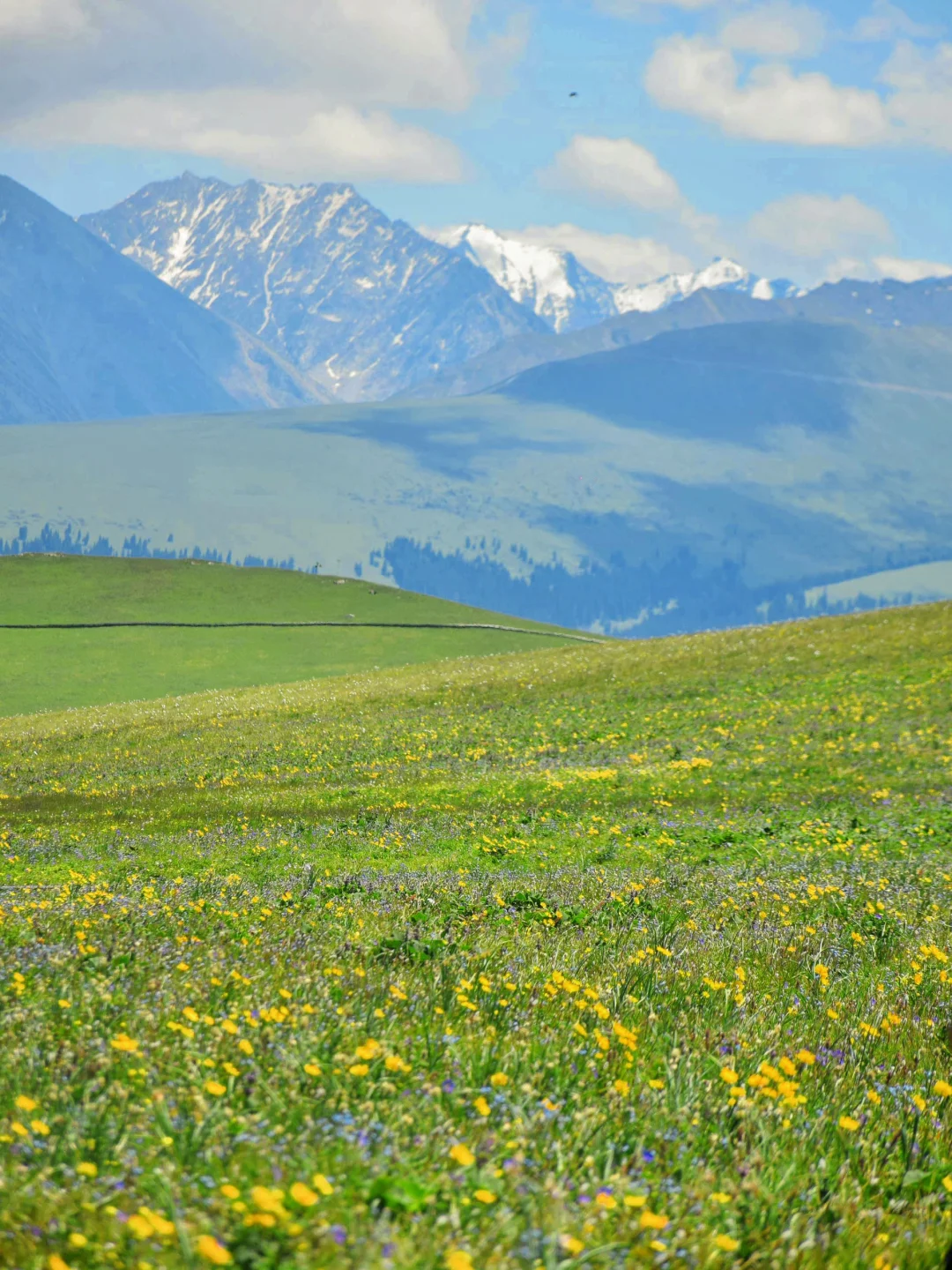 接下来几个月的新疆，每一张都是童话世界！！！