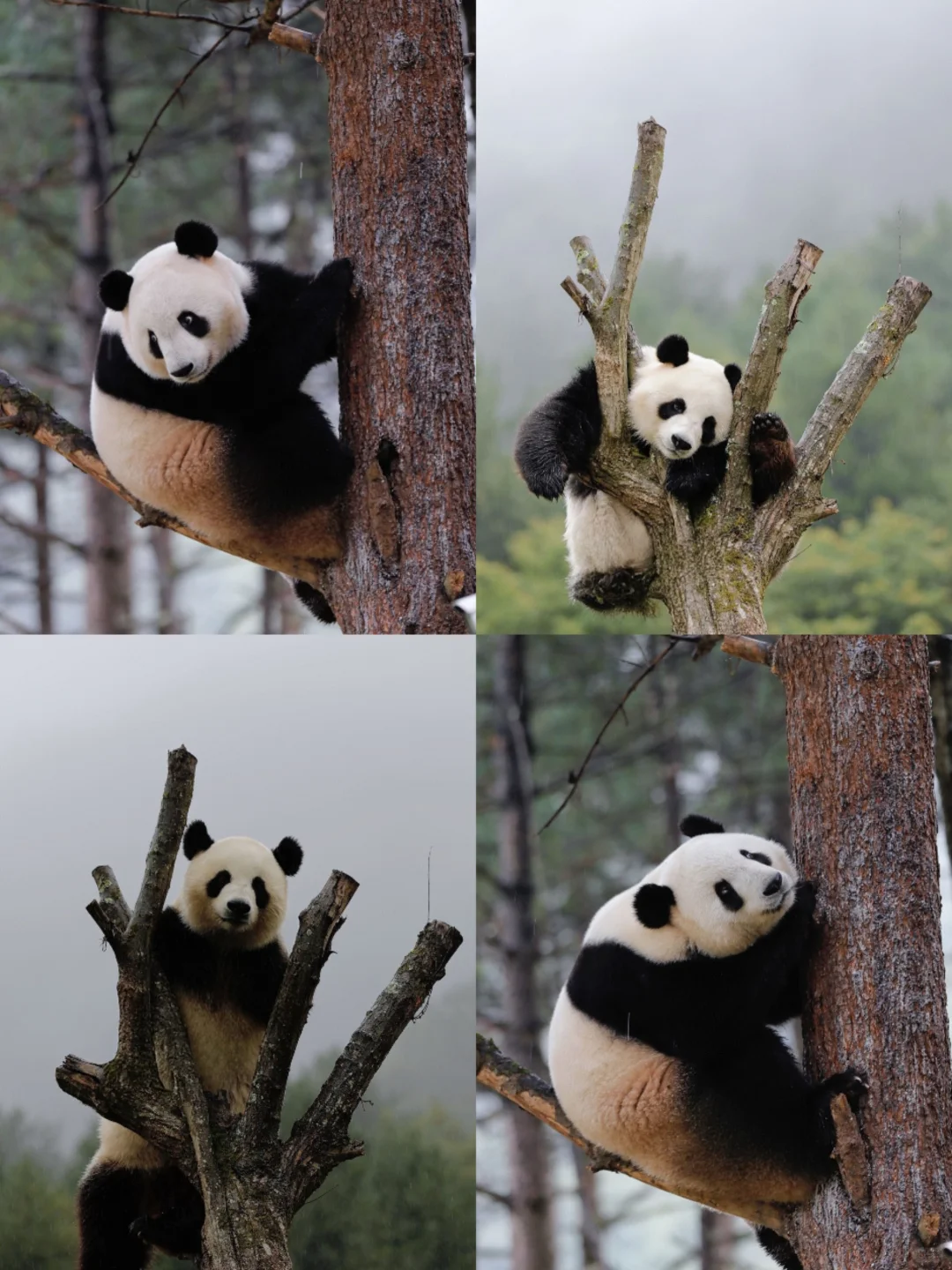 🌟五一反向出行攻略｜人少避暑的6个宝藏地🌟