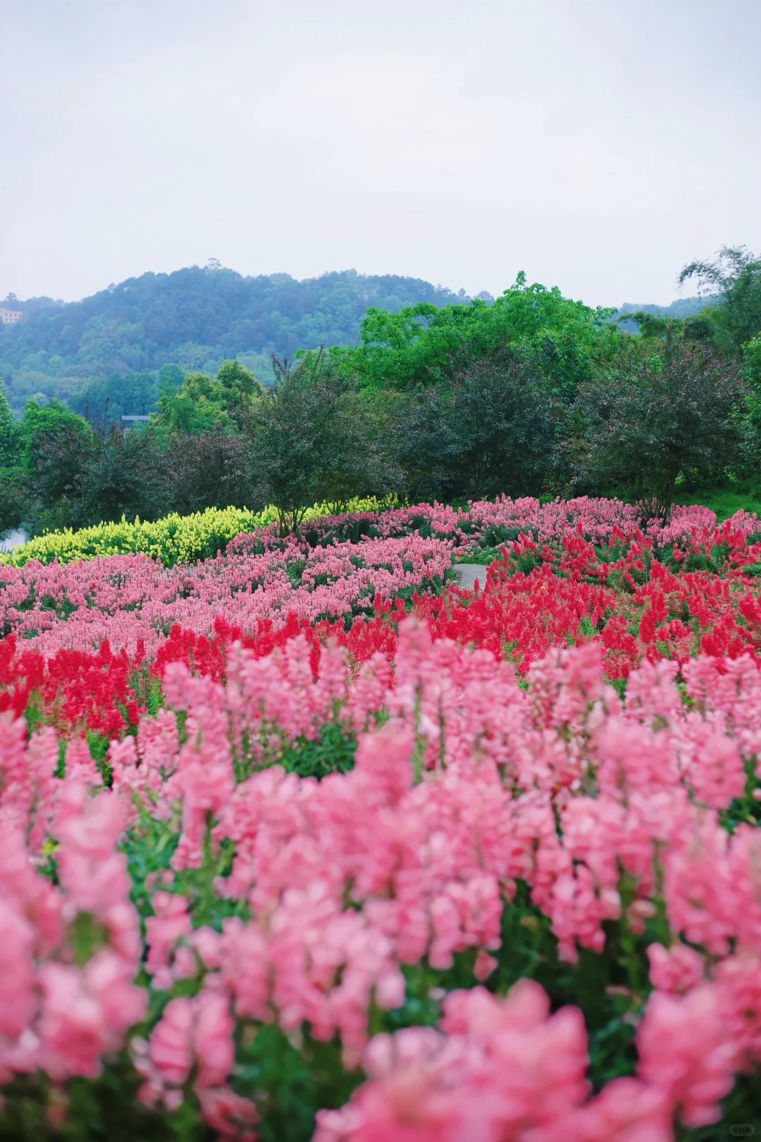 五一假期山城好去处🌷请留1️⃣天给这里‼️