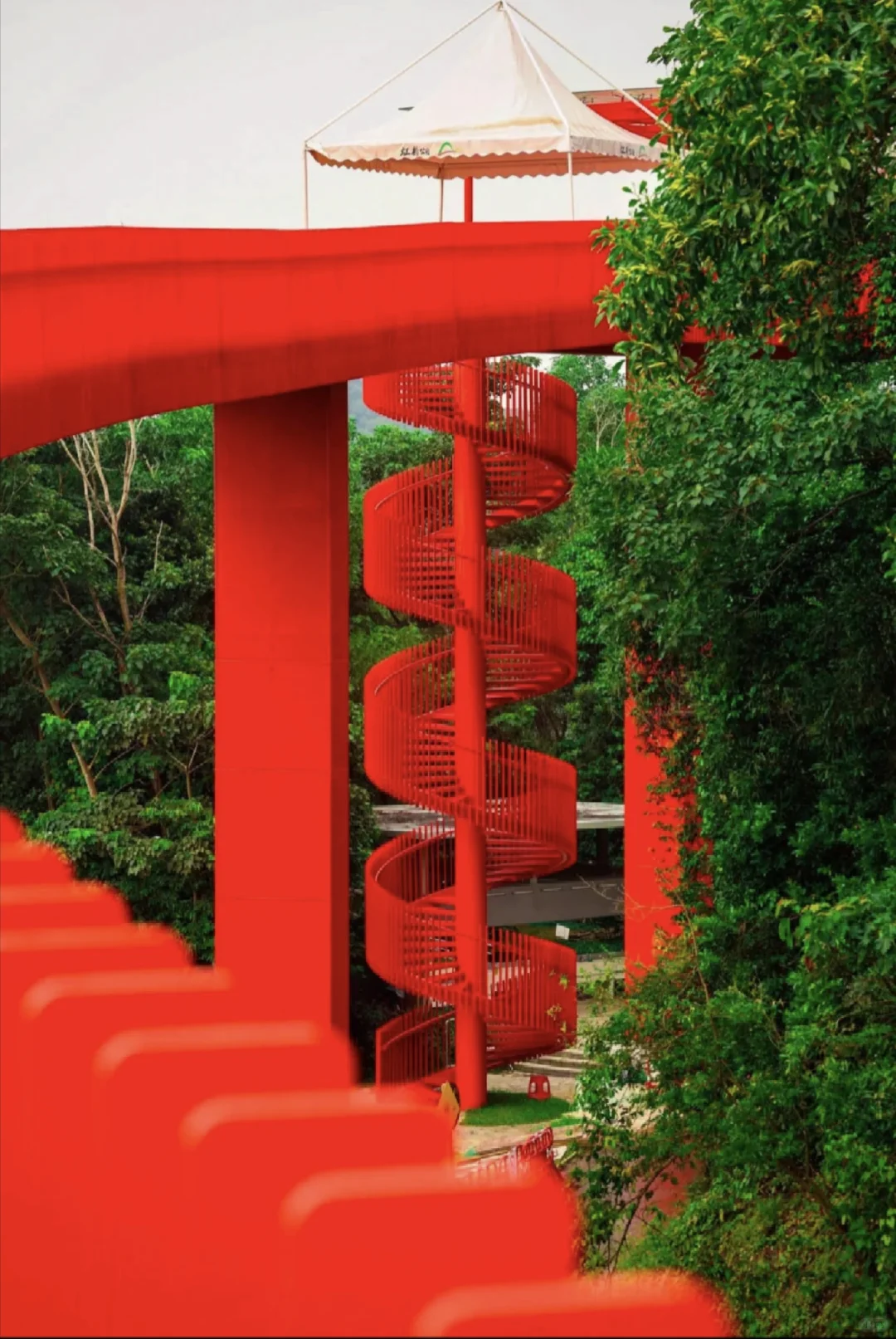 光明五一假期去哪玩？虹桥公园攻略请收好！