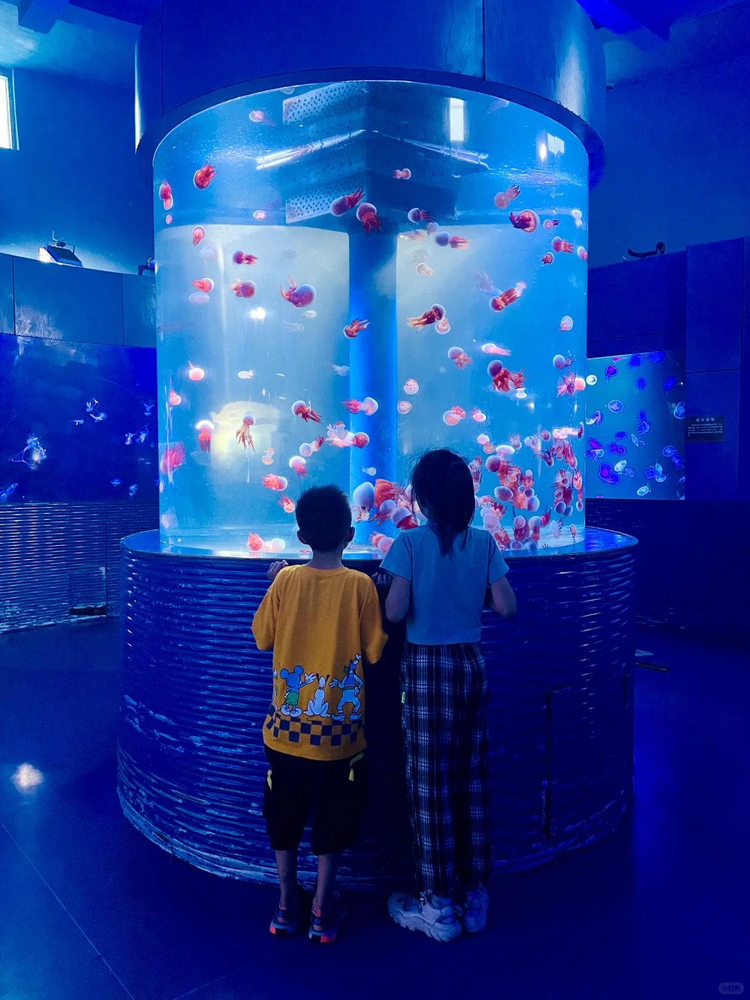 徐州刚回来，3天2晚不踩雷，全是大实话！