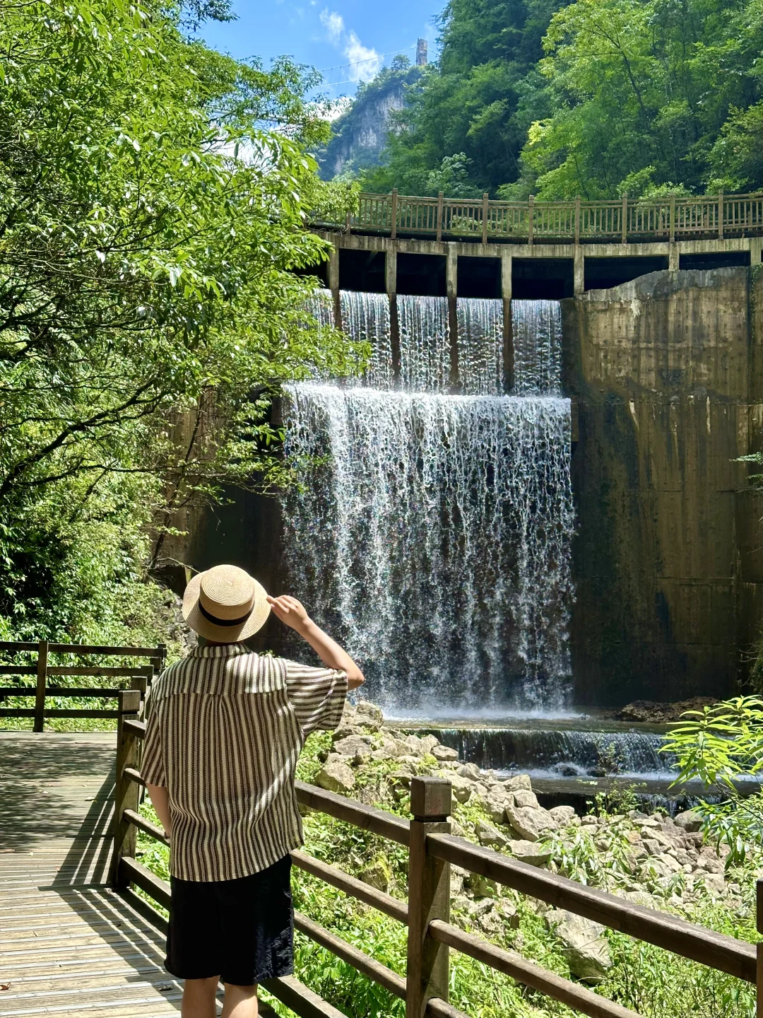 Live图！没去天门山是张家界最正确的选择！